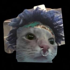 Meet your Posher, Deon